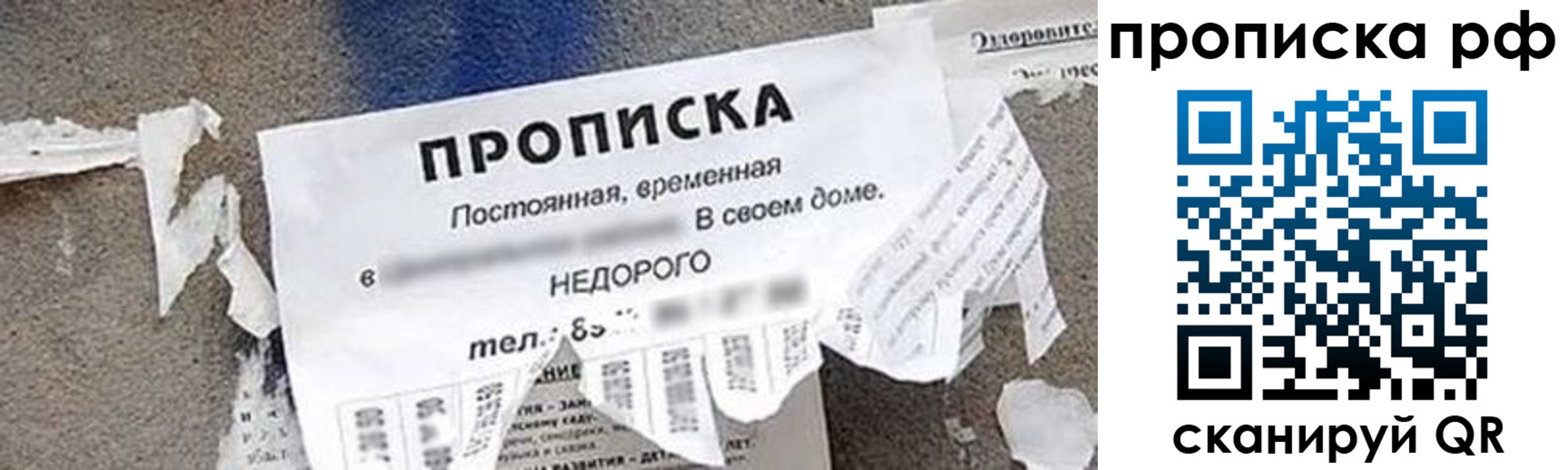 где прописаться в Конаково